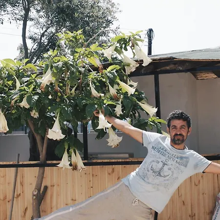 旅馆 Sun Rays Kazaphani