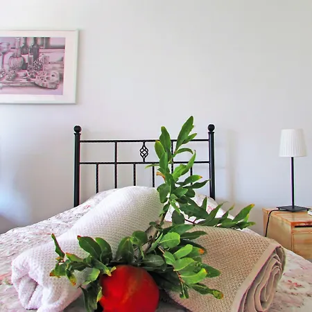 بيت شباب Sun Rays *