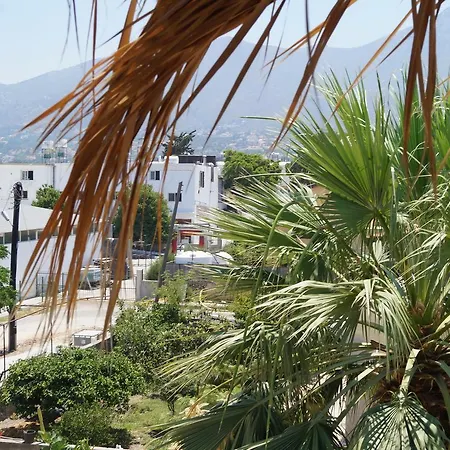 بيت شباب Sun Rays *