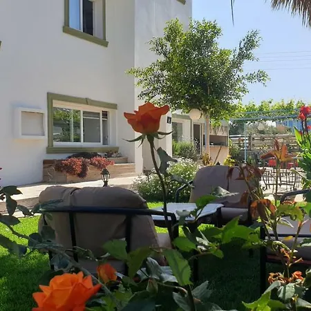 Sun Rays * Kazaphani