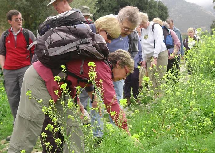 Хостел Sun Rays