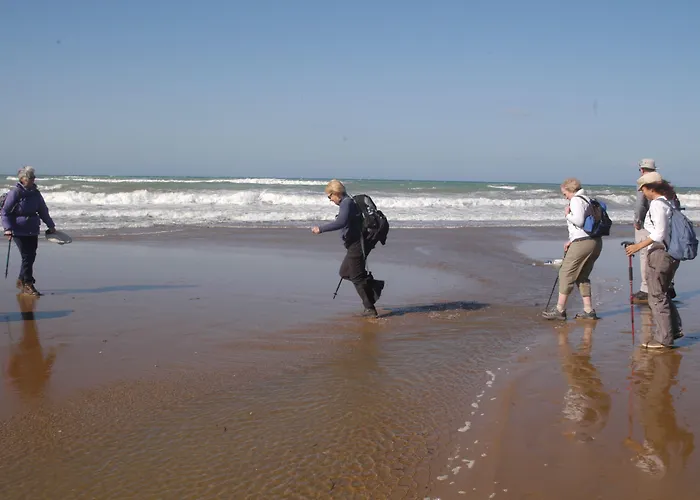 Sun Rays * Kazaphani