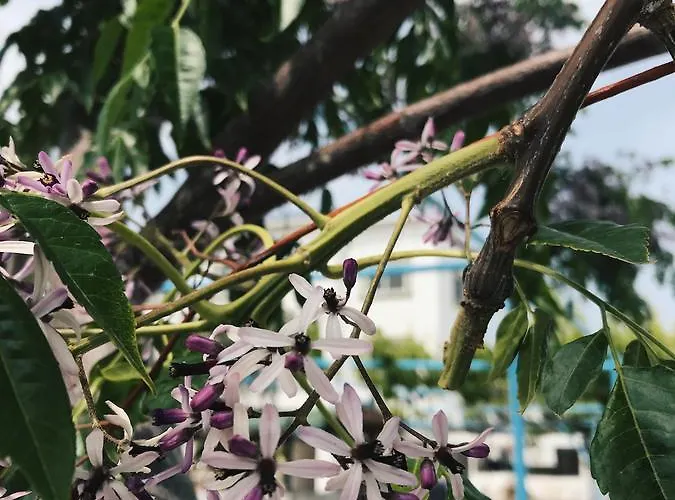 Sun Rays Hostel Kazaphani