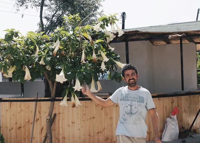 Sun Rays Хостел *