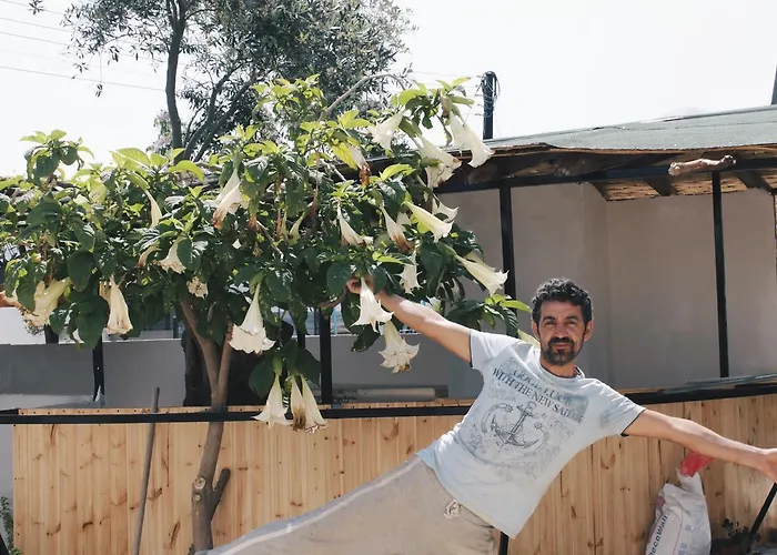 Хостел Sun Rays Kazaphani