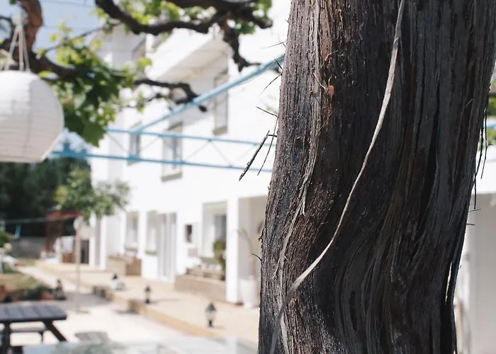 Sun Rays Хостел Kazaphani