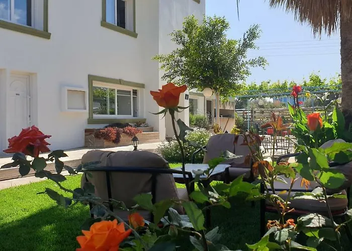 Sun Rays * Kazaphani